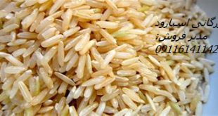 فروش برنج دودی