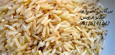فروش برنج دودی
